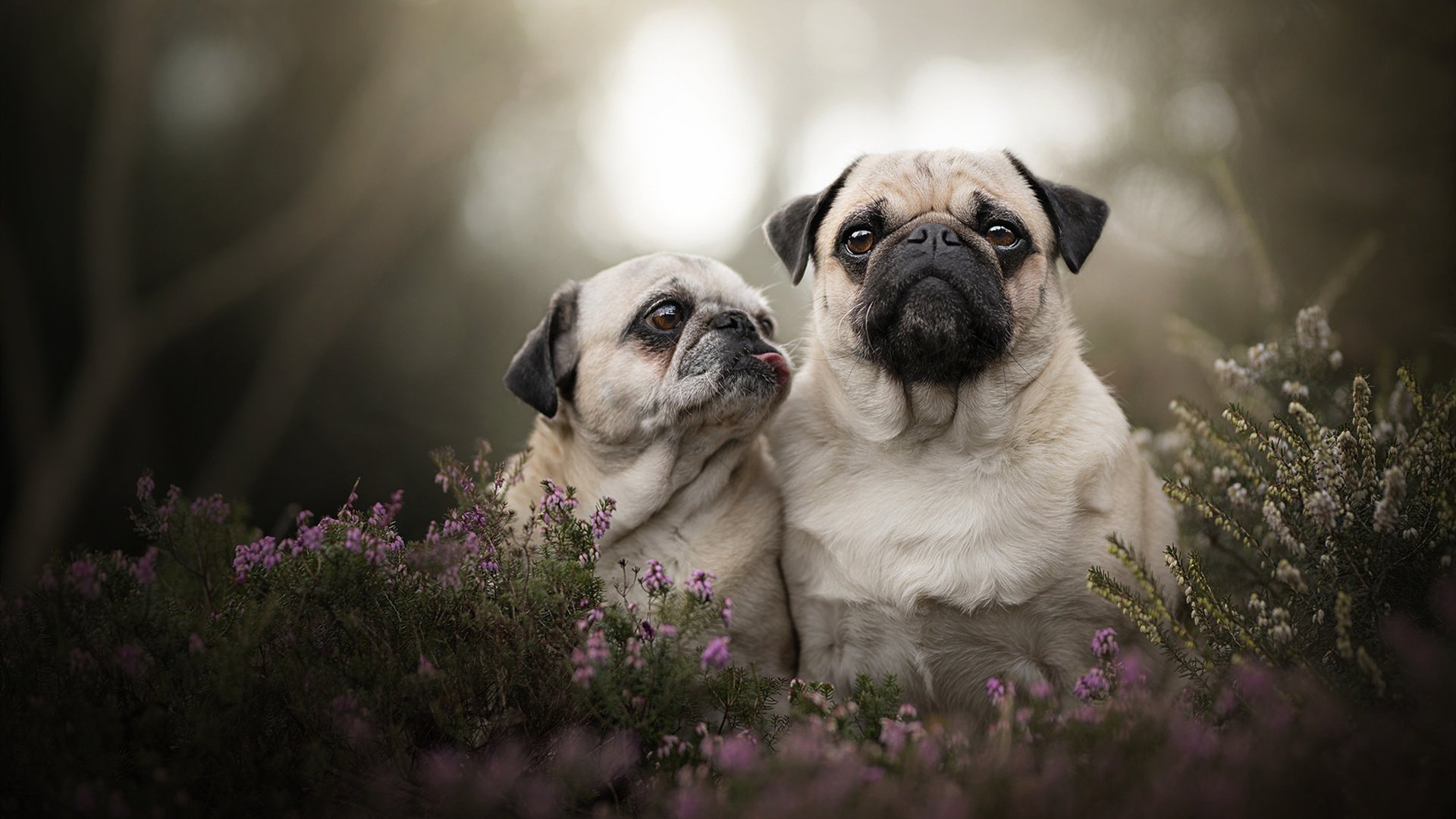 足球史上的瞬间,比利亚雷亚尔绝杀加纳,拉什福德抢七接管比赛