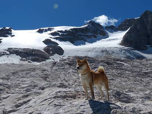 一颗楔石的校准，当欧文的存在感成为太阳加时鏖战的精密支点