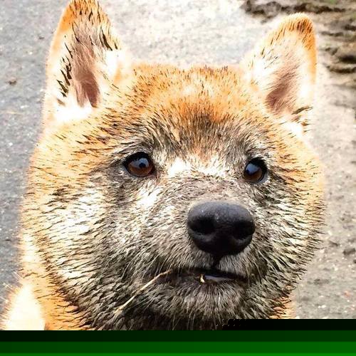 神话级黑马!南美孤狼闯入欧陆腹地—欧冠决赛史上最颠覆一战,巴拉圭军团奇迹狂胜亚特兰大